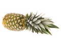 Ripe whole pineapple isolated