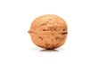 Ripe whole walnut, close up macro, isolated on a white background. Royalty Free Stock Photo