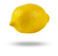Ripe whole yellow lemon citrus fruit isolated on white background with clipping path. Fresh lemon fruit isolated Royalty Free Stock Photo