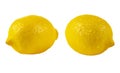 Ripe whole yellow lemon citrus fruit isolated on white background with clipping path. Fresh lemon fruit isolated Royalty Free Stock Photo