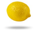 Ripe whole yellow lemon citrus fruit with water drops isolated on white background with clipping path. Fresh lemon fruit isolated. Royalty Free Stock Photo