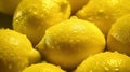 Ripe whole yellow lemon citrus fruit with water drops. Many lemons. Closeup view. Fruits backdrop. Generative AI. Illustration for