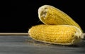 Ripe and wilted corn cobs on a black background