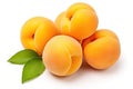 Ripe yellow apricots isolated on a white background.