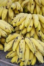 Ripe Yellow Banana Bunches at Brazilian Farmers Market Royalty Free Stock Photo