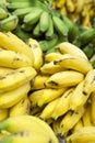 Ripe Yellow Banana Bunches at Brazilian Farmers Market Royalty Free Stock Photo