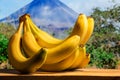 Ripe Yellow Bananas Bunch Tropical Jungle Mountain