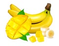 Ripe yellow bananas vector illustration