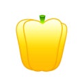 Ripe yellow bell pepper