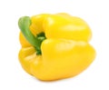 Ripe yellow bell pepper Royalty Free Stock Photo