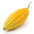 Ripe Yellow Bitter Gourd Isolated on White Background Royalty Free Stock Photo