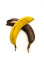 Ripe yellow and brown overripe bananas on a white background