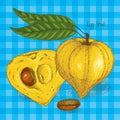 Ripe Yellow Canistel or Eggfruit