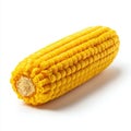 Ripe Yellow Corn Cob Isolated on White Studio Background with Detailed Kernels and Natural Texture Royalty Free Stock Photo