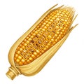 Ripe Yellow Ear of Corn Illustration Royalty Free Stock Photo