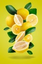 Ripe yellow lemon fruit and leaves isolated over a yellow background Royalty Free Stock Photo