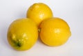 Ripe yellow lemons