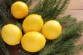 Ripe yellow lemons on wooden table decorated with Christmas tree branches. Fresh citrus fruits on wood background. Royalty Free Stock Photo