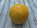 Ripe yellow melon on the table. The peel is scabrous.