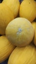 Ripe Yellow Melons in the market Royalty Free Stock Photo