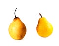 Ripe yellow pears Royalty Free Stock Photo