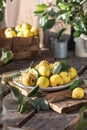 Ripe yellow pears in a plate on wooden background Royalty Free Stock Photo