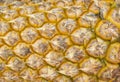 Ripe yellow pineapple skin texture closeup. Pineapple texture. Exotic fruit close-up. Ripe yellow fruit peel macro photo Royalty Free Stock Photo