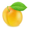 Ripe yellow plum with green leaf. With clipping path Royalty Free Stock Photo