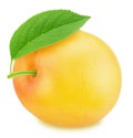 Ripe yellow plum with green leaf. With clipping path Royalty Free Stock Photo