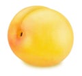 Ripe yellow plum isolated Royalty Free Stock Photo