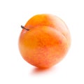 Ripe yellow plum. Royalty Free Stock Photo