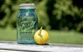 Ripe yellow plum with leaf on stem and antique canning jar