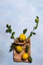 Ripe yellow quince apples, paper bag and branches Royalty Free Stock Photo