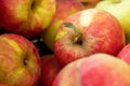 Ripe yellow-red apples. Harvest apples. Juicy apples in a wicker basket