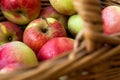 Ripe yellow-red apples. Harvest apples. Juicy apples in a wicker basket