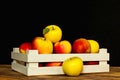 Ripe yellow and red apples in wooden box with space for text isolated on a black background. Royalty Free Stock Photo