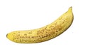 Ripe yellow speckled banana isolated on white background