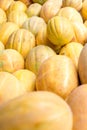 Ripe yellow sugar sweet melons on stand at the marketplace. Selective focus Royalty Free Stock Photo