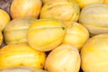 Ripe yellow sugar sweet melons on stand at the marketplace. Selective focus Royalty Free Stock Photo