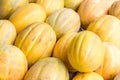 Ripe yellow sugar sweet melons on stand at the marketplace. Selective focus Royalty Free Stock Photo