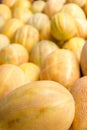 Ripe yellow sugar sweet melons on stand at the marketplace. Selective focus Royalty Free Stock Photo