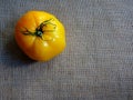 Ripe yellow tomato on a coarse gray burlap background Royalty Free Stock Photo
