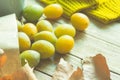 Ripe Yellow Transparent Plums in Brown Craft Paper Bag Scattered on Wood Table Dry Autumn Leaves Knitted Sweater Soft Sunlight Royalty Free Stock Photo