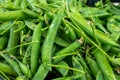 Ripe young green sweet garden peas legumes Royalty Free Stock Photo