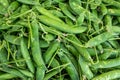 Ripe young green sweet garden peas legumes Royalty Free Stock Photo