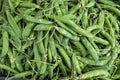 Ripe young green sweet garden peas legumes Royalty Free Stock Photo