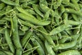 Ripe young green sweet garden peas legumes Royalty Free Stock Photo