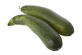 Ripe zucchini or courgette Royalty Free Stock Photo