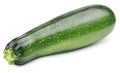 Ripe zucchini or courgette isolated on white