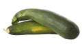 Ripe zucchinis or courgettes Royalty Free Stock Photo